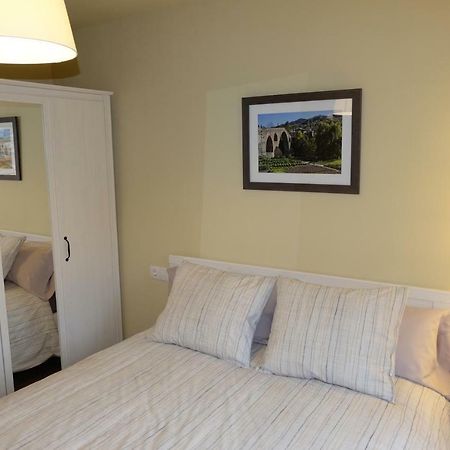 Apartaments Sant Miquel Sant Joan de les Abadesses Ngoại thất bức ảnh